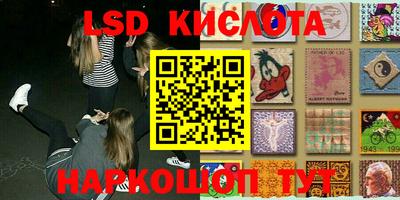 шишки Абакан