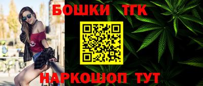 шишки Абакан
