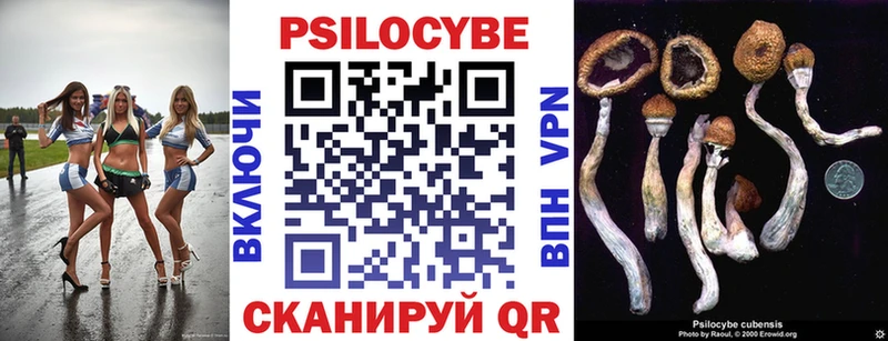 купить  сайты  kraken tor  Псилоцибиновые грибы Psilocybe  Алексин 