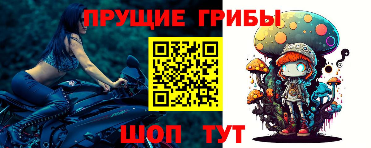 Алексин  Галлюциногенные грибы ЛСД  Вход с VPN 